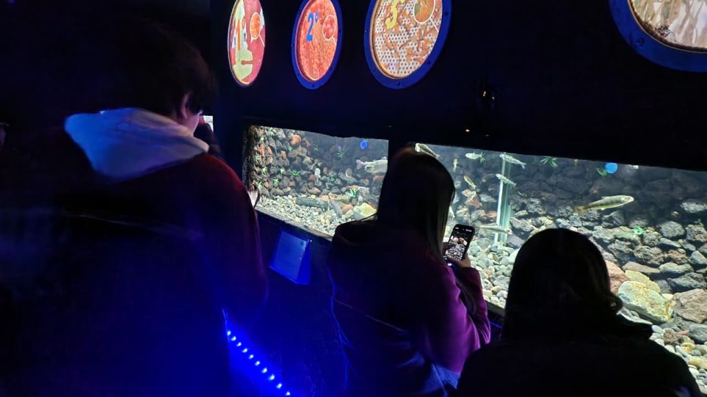 Imagen de WhatsApp 2025-09-12 a las 10.09.17_6c21a009