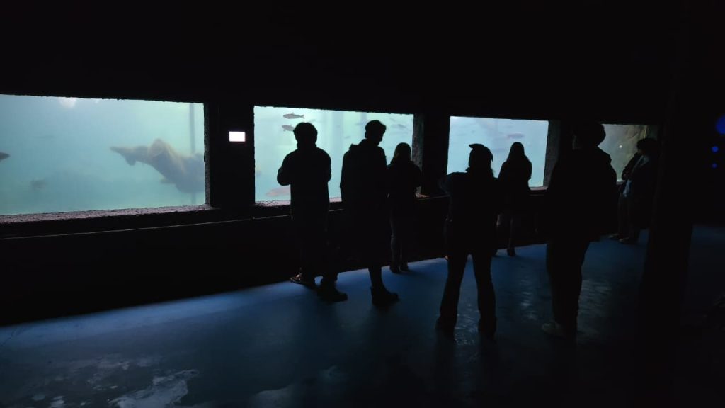 Imagen de WhatsApp 2025-09-12 a las 10.09.17_ca8164d2