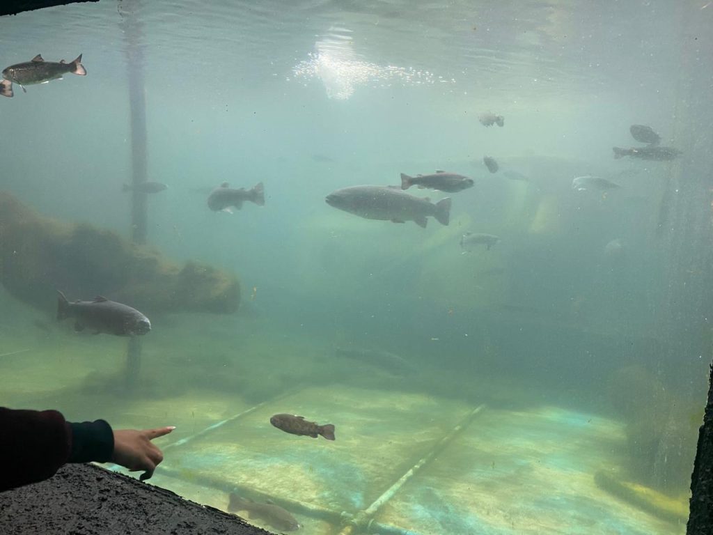 Imagen de WhatsApp 2025-09-12 a las 10.10.15_32e861ad