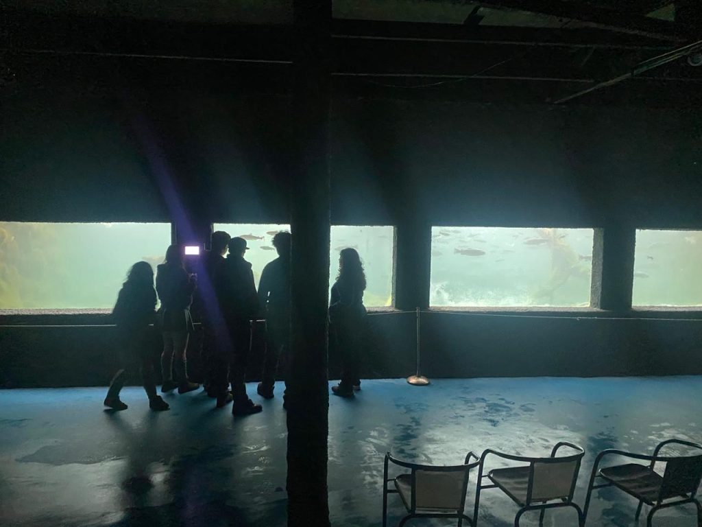 Imagen de WhatsApp 2025-09-12 a las 10.10.15_c6444d68