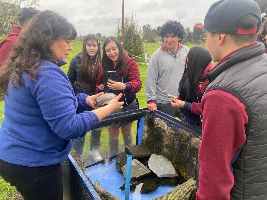 Imagen de WhatsApp 2025-09-12 a las 10.10.15_d34e7c48