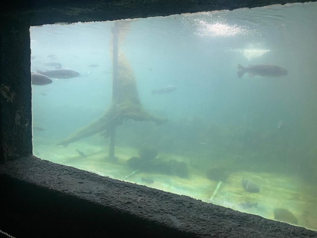 Imagen de WhatsApp 2025-09-12 a las 10.10.16_0a769945