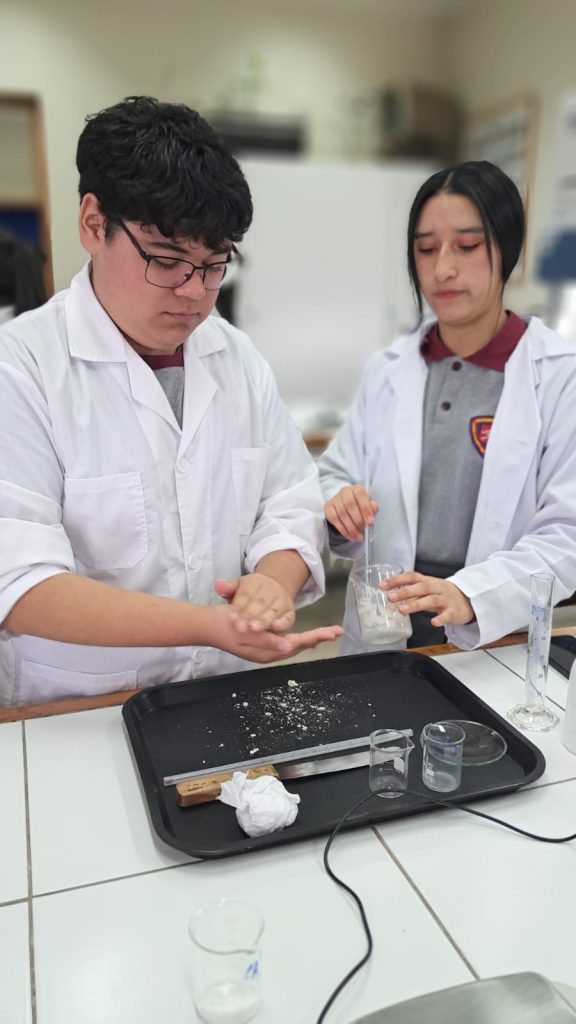 3C Taller de fermentación en Universidad de los Lagos (5)