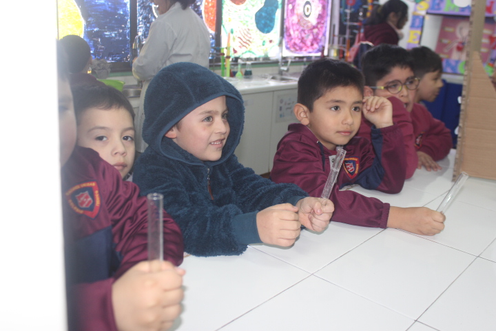 Imagen de WhatsApp 2025-10-28 a las 08.07.23_ebcb60be