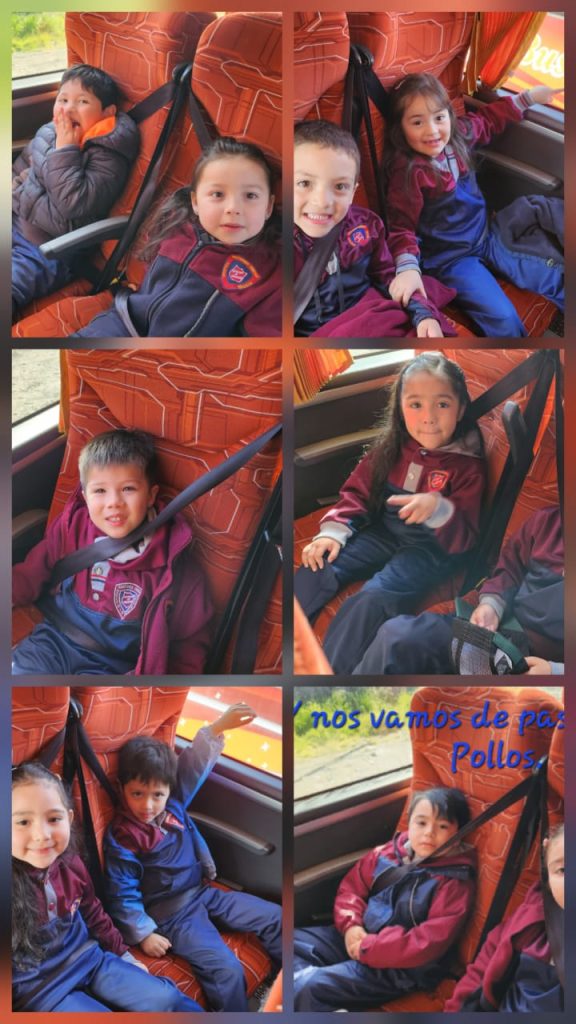 Imagen de WhatsApp 2025-11-27 a las 07.53.43_0edb320e