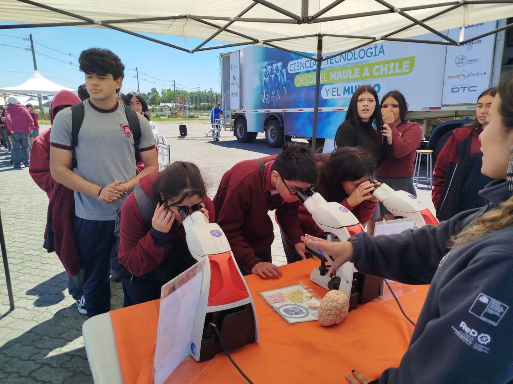 Imagen de WhatsApp 2025-12-01 a las 15.22.34_c77034b0