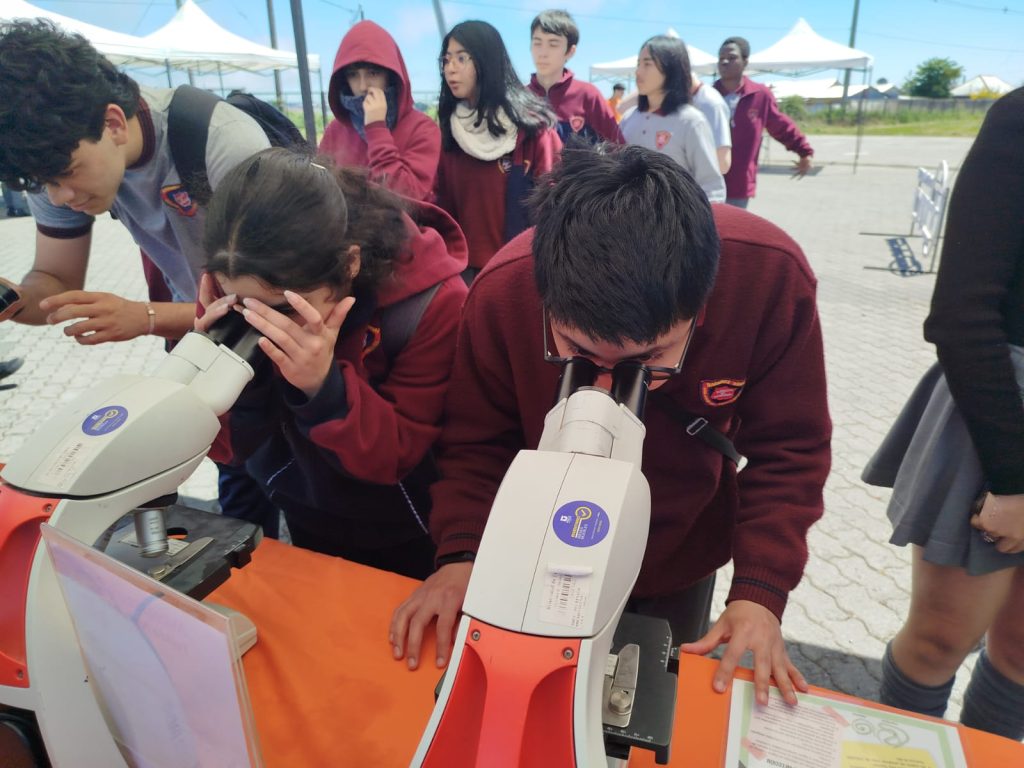 Imagen de WhatsApp 2025-12-01 a las 15.22.34_d4cec4d0